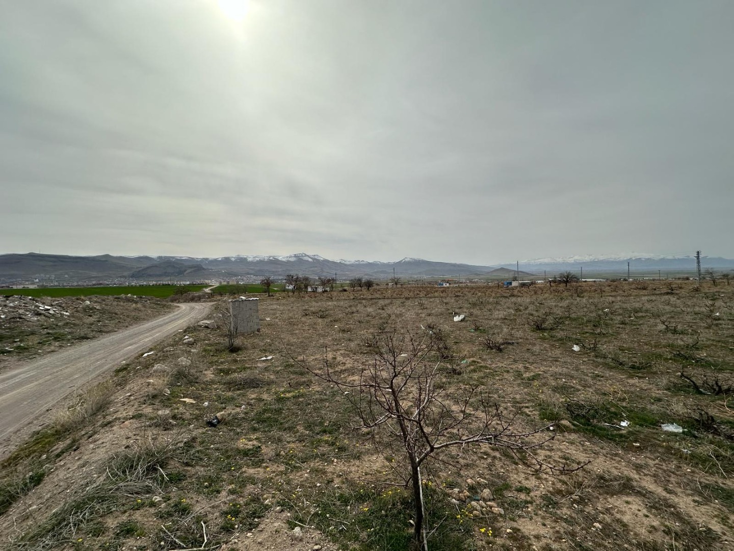 KAYSERİ DEVELİ REŞADİYE MAHALLESİ GÜZELCE MEVKİİNDE 2904 m2 SATILIK BAĞ